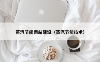 保定蒸汽节能网站建设（蒸汽节能技术）
